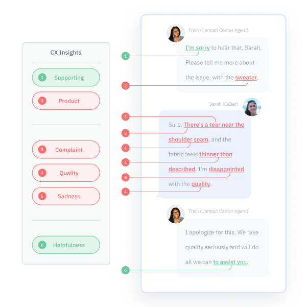 CX insights from a conversation between customer and agent. 